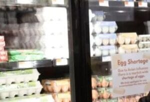 Incrementa el Precio de los huevos en Estados Unidos ¿Qué provoca esta crisis?