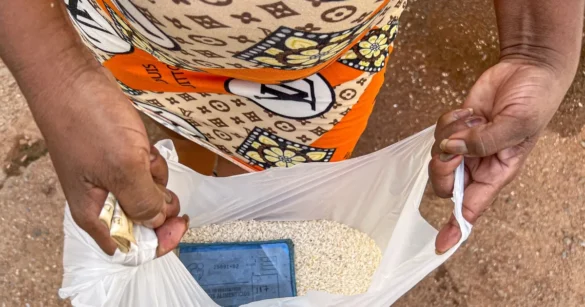 arroz-cuba-afpjpg Gobierno de Camagüey establece un precio máximo en la venta del arroz