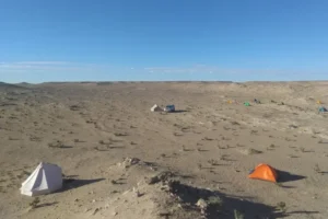 Garra de dinosaurio más grande del mundo, totalmente preservada es encontrada en el desierto de Gobi, Mongolia