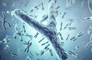 El Futuro del Cromosoma Y