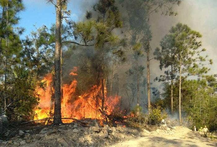 Incendio forestal en Pinar del Río