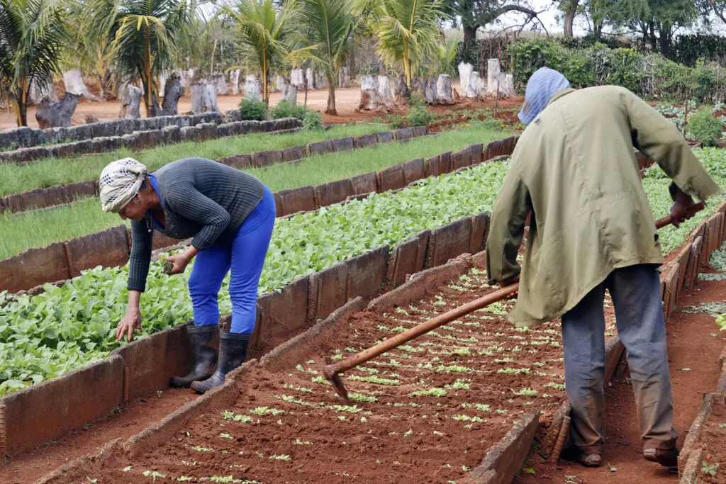 Cuba otorgará tierras en usufructo a extranjeros