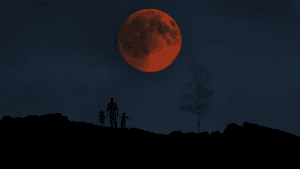 Eclipse lunar total del 14 de marzo de 2025: ¿Qué sabemos?