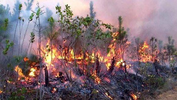 Incendio del 2018 Foto Cortesía del Cuerpo de Guardabosque