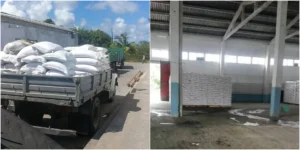 Capturados presuntos autores del asesinato del custodio en Camagüey