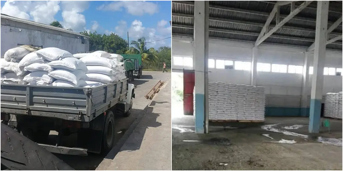 Capturados presuntos autores del asesinato del custodio en Camagüey