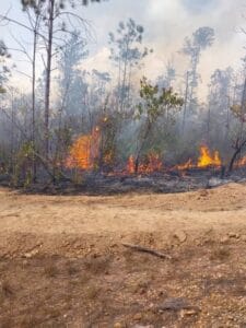 Incendio en Pinar del Río continúa sin control