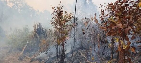 Incendio en Pinar del Río continúa sin control
