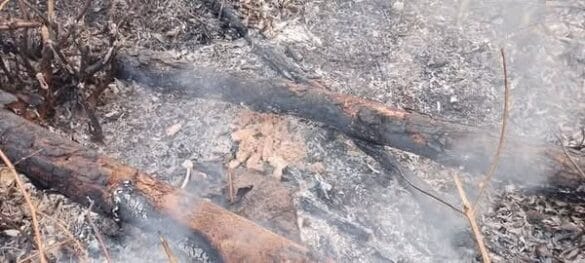 Incendio en Pinar del Río continúa sin control