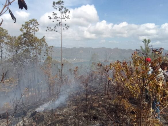 493944648_1103011268513208_6285737995689772156_n Devastador incendio en Pinar del Río afecta 2800 hectáreas de bosques