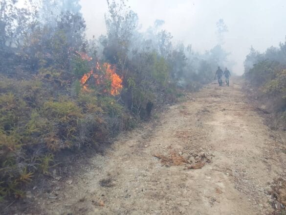 494141351_1103011318513203_4268163141131843479_n Devastador incendio en Pinar del Río afecta 2800 hectáreas de bosques