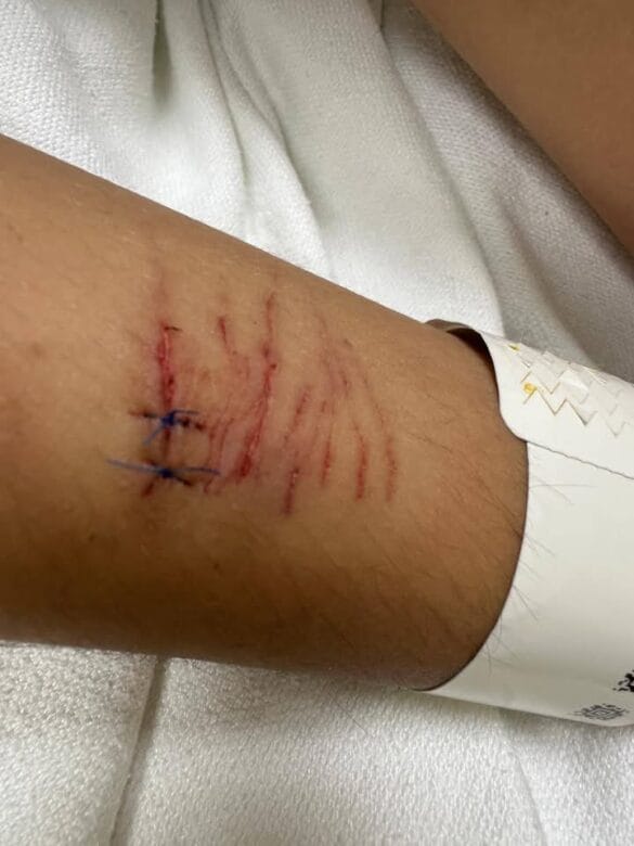 FB_IMG_1745149556002