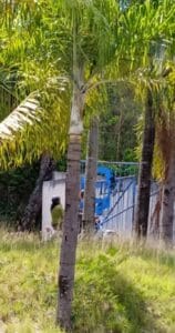 Incidente impactante con cuchillos y machetes en IPVCE de Santiago de Cuba deja un estudiante en estado grave