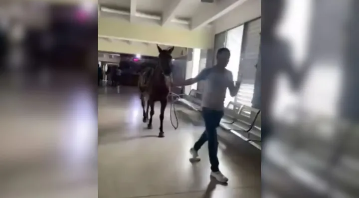 Hombre a caballo irrumpe en hospital de Sagua
