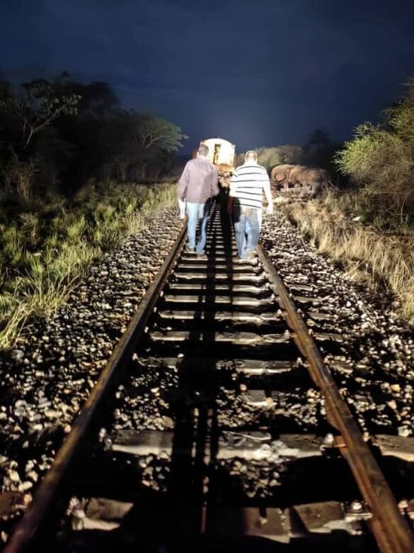 FB_IMG_1746874516898