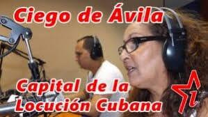 Atropellada y Abandonada: El Duro Golpe a Nora Susana López Díaz