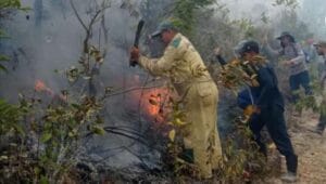 Incendio en Pinar del Río arrasa más de 2500 hectáreas