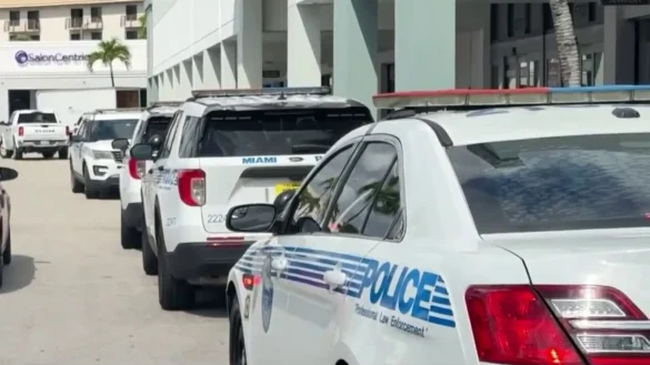 39077871309-1080pnbcstations Detienen a dos hombres y una mujer tras operativo antinarcóticos