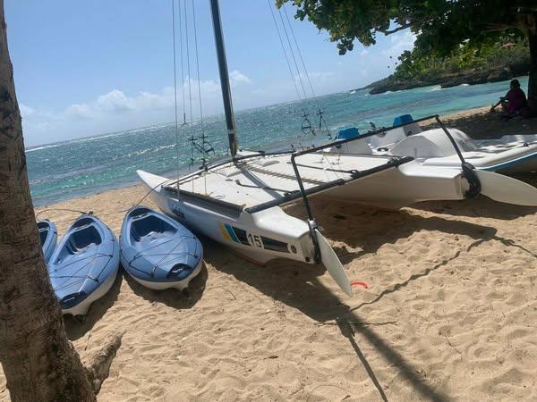 Alerta roja en Guantánamo! Sargazo invade las costas