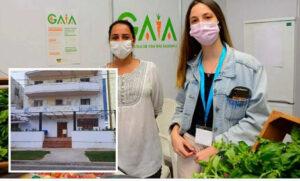 De Miami a La Habana la ruta privilegiada del cemento para el negocio de la nieta de Raúl Castro