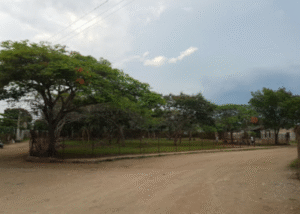 Capturado autor de feminicidio en Holguín que dejó una víctima mortal y una menor herida
