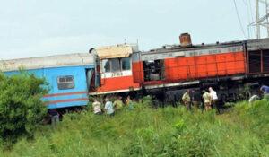 Robo de reses en Las Tunas deja animales muertos tras choque con tren