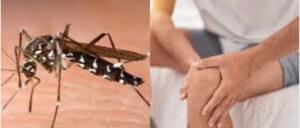 Enfermedad del chikungunya