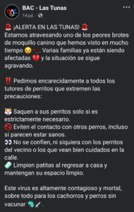 Brote de moquillo en Las Tunas pone a familias y protectores de animales en alerta máxima