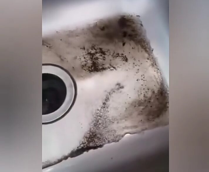 Alerta de insalubridad en Sancti Spíritus: Agua del acueducto llega con gusanos, lombrices y peces