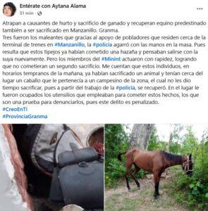 Policía frustra sacrificio de caballo