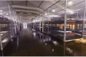 Inundación sorprende a Alligator Alcatraz
