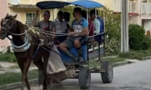 Asaltan a dos jóvenes en Santiago de Cuba para robar un coche de caballo.