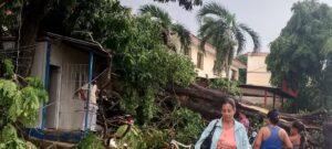 Tormenta local severa azota Guantánamo: daños materiales pero sin víctimas