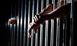 Varios detenidos hacen huelga de hambre en Alligator Alcatraz.