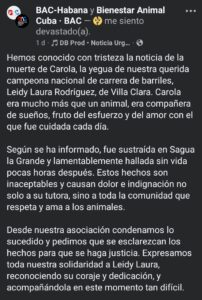 Roban y asesinan a la yegua de la campeona nacional Leidy Laura Rodríguez