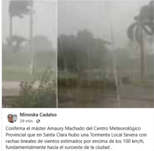 Rachas huracanadas golpean Santa Clara: Árboles caídos y daños en el tendido eléctrico