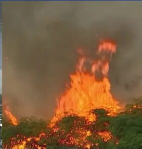Incendio de gran magnitud en la Calle 8 de Miami provoca cierre vial y afecta el tráfico