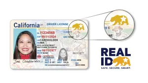 Advierten a viajeros nacionales de Estados Unidos sobre documentos que deben portar para evitar inconvenientes.