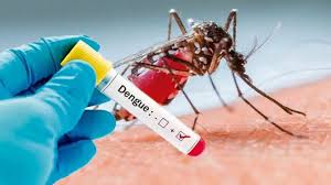Pinar del Río "vive" entre dengue y virus respiratorios