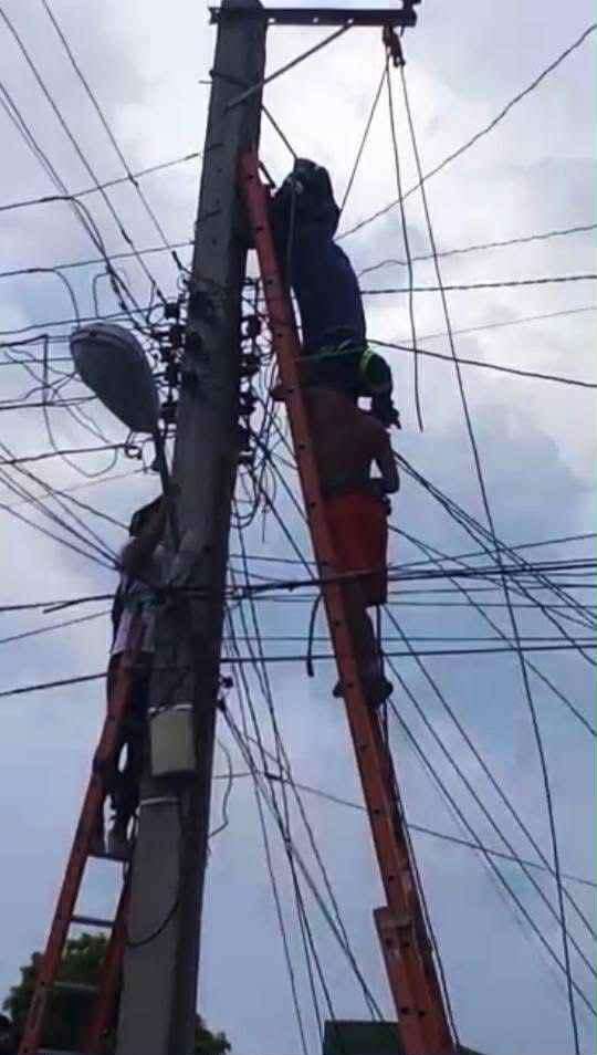 185c9da8-6dca-48bf-8170-a9b4dcf2ada6