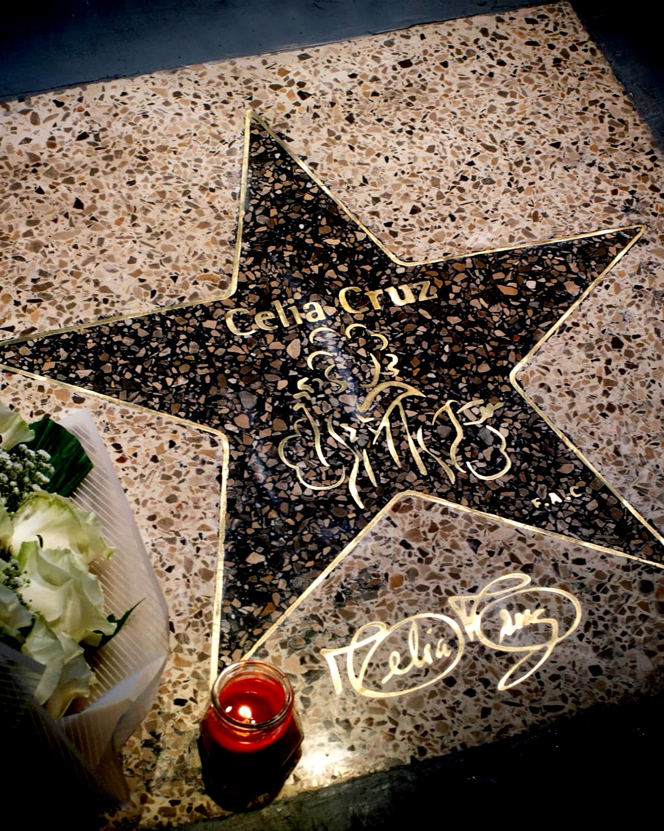Celia Cruz ya tiene su estrella en La Habana: un homenaje que rompe el silencio