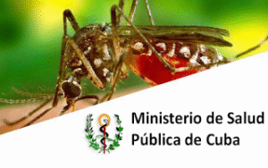 4. ¿Solo cinco provincias con chikungunya? Crecen las dudas sobre el alcance del brote en Cuba