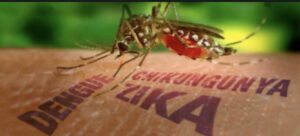 Aumentan los casos de arbovirosis en Cuba