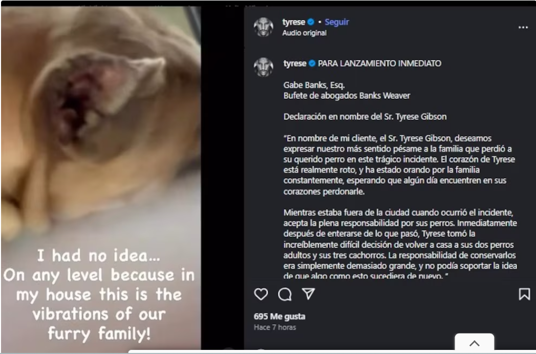Actor Tyrese Gibson en problemas: orden de arresto por ataque mortal de sus perros a la mascota de un vecino