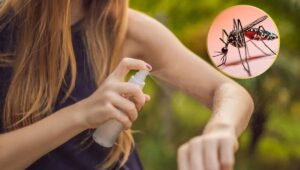 Cuba se protege con ingenio: recetas caseras contra el dengue y el chikungunya.