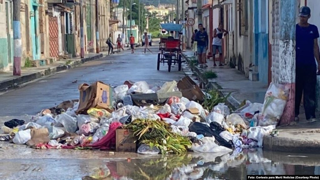 Cuba iniciará investigación sobre el virus de la Chikungunya. La Isla al borde de una epidemia silenciada