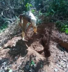 Atrapan ladrones de equinos en Yateras