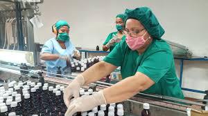 El Gobierno cubano lanza tarde un repelente natural contra arbovirosis, mientras la crisis sanitaria ya golpea a millones.