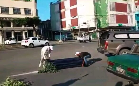 Féretro cae de carro fúnebre en plena vía pública de La Habana y desata indignación ciudadana