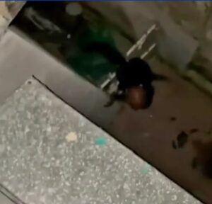 Ladrón cae del techo y huye al ser sorprendido en Luyanó